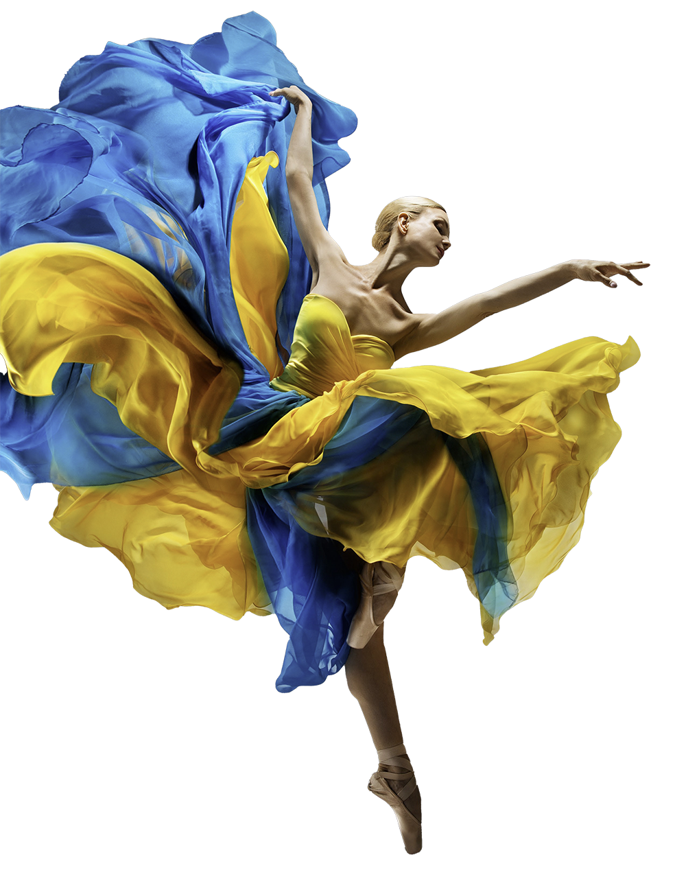 Ballet national d'Ukraine